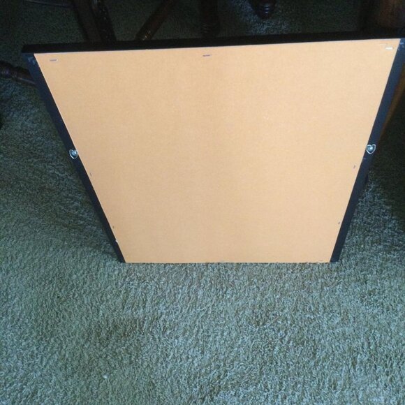 1pc 16x20Frame 12x18 inch Christian Dove Holy Spirit Creation Religious Bird Art - Picture 5 of 5